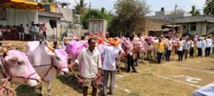 Exhibition of Khilar bulls in Basavan Kudchi