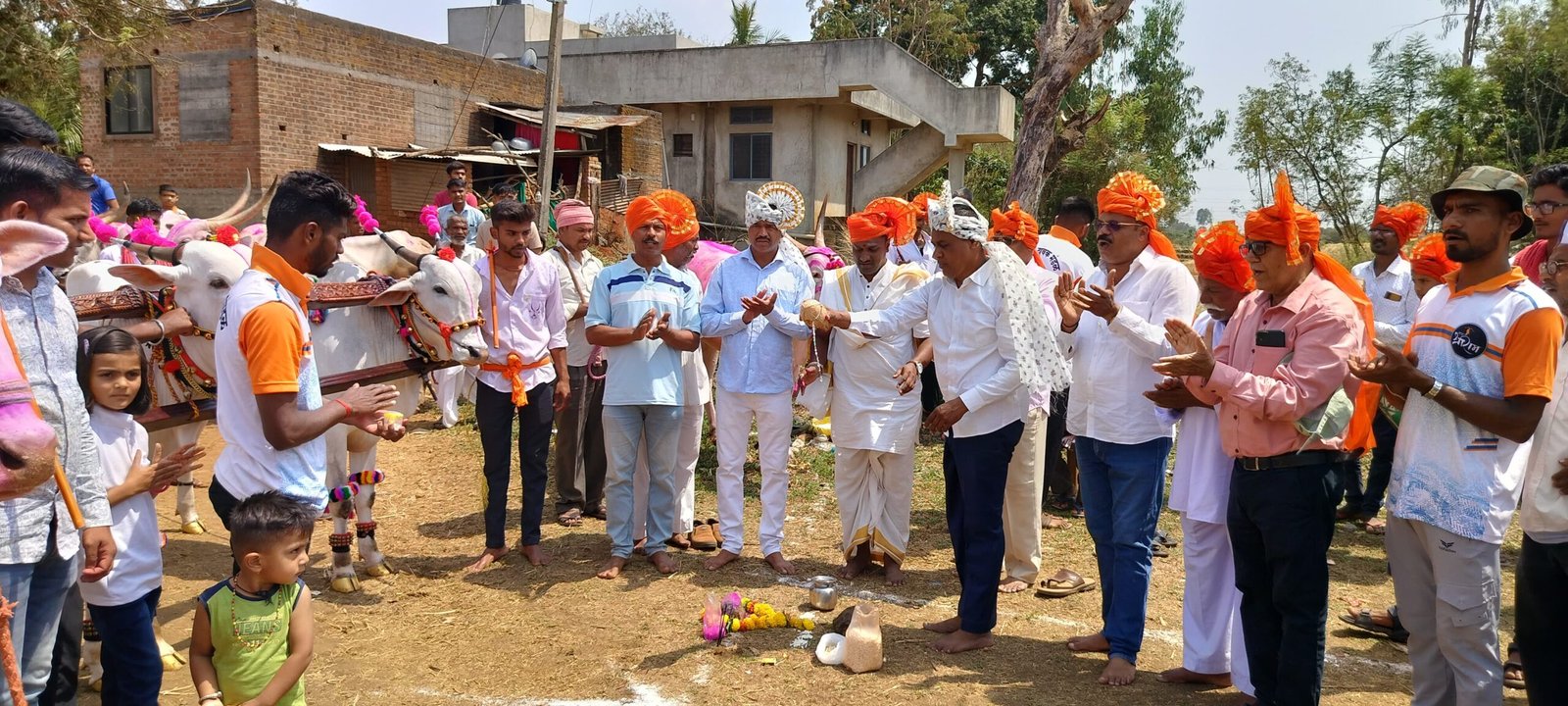 Exhibition of Khilar bulls in Basavan Kudchi