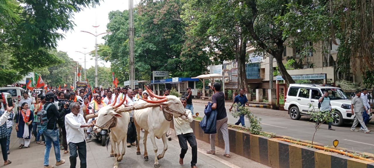 पेट्रोल आणि डिझेलच्या दरवाढीच्या निषेधार्थ बेळगावात भाजप कार्यकर्त्यांनी दुचाकी बैलांना बांधून राज्य सरकारविरोधात रोष व्यक्त केला.